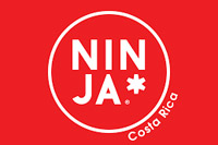 NINJA-Business consulting